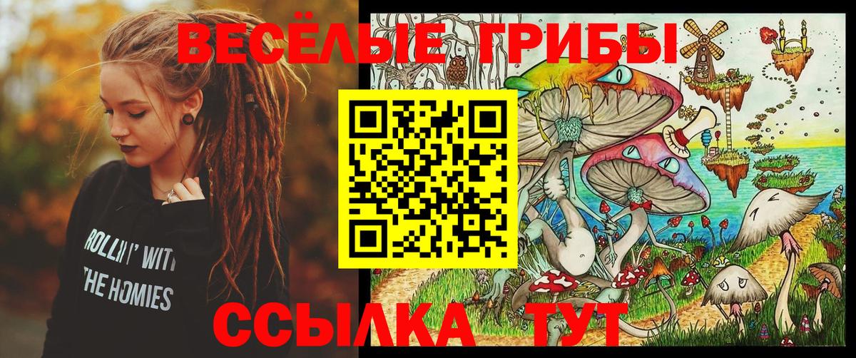 Псилоцибиновые грибы Psilocybine cubensis Уссурийск