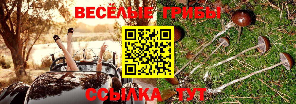 Галлюциногенные грибы MAGIC MUSHROOMS  Вход с VPN  Псилоцибиновые грибы Psilocybe  Уссурийск 